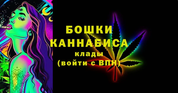 гидра Карпинск