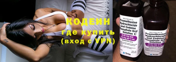 гидра Карпинск