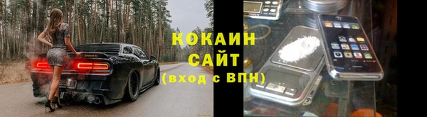 гидра Карпинск