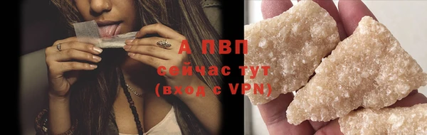 гидра Карпинск