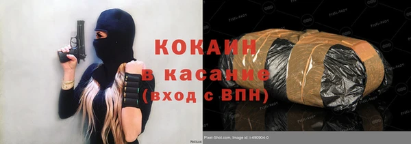 гидра Карпинск