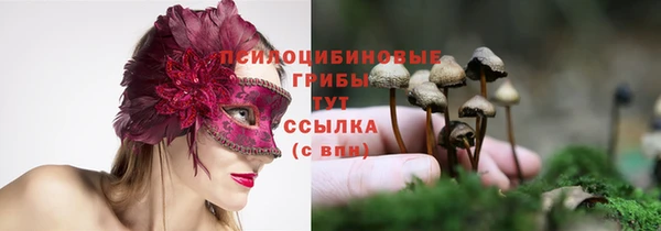 не бодяженный Касимов