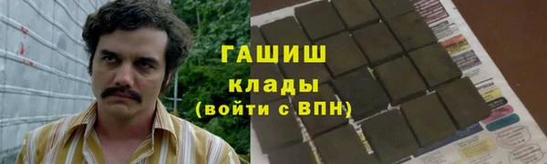 гидра Карпинск