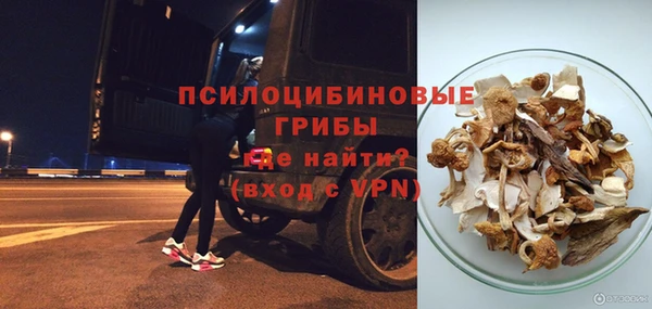 гидра Карпинск