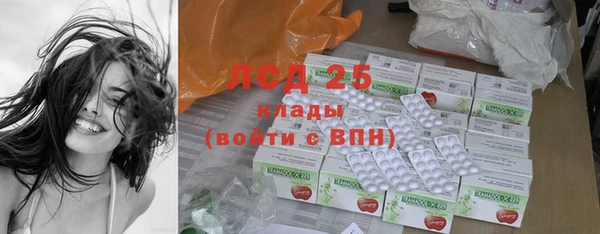гидра Карпинск